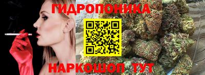 стафф Гусев